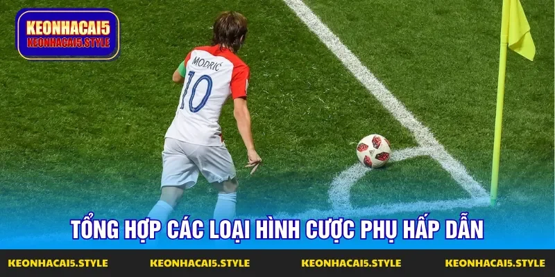 nhung keo nha cai phu duoc cac bet thu ua chuong nhung keo nha cai phu duoc cac bet thu ua chuong