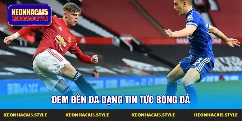 dem den da dang tin tuc bong da dem den da dang tin tuc bong da
